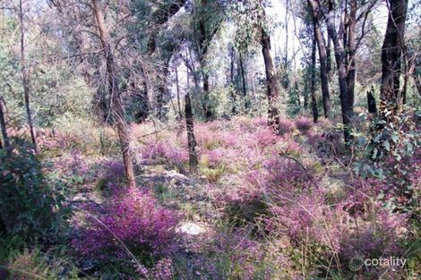 Property photo of 22 Moore Street Emmaville NSW 2371