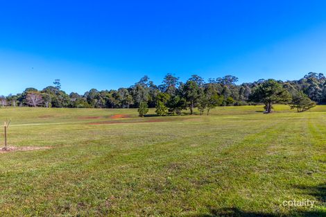 Property photo of 63-69 Curtis Road Tamborine Mountain QLD 4272
