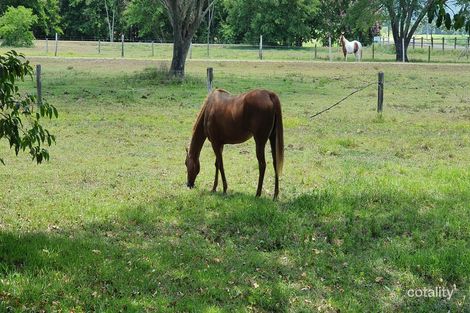 Property photo of 177 Barbagallo Road Aloomba QLD 4871