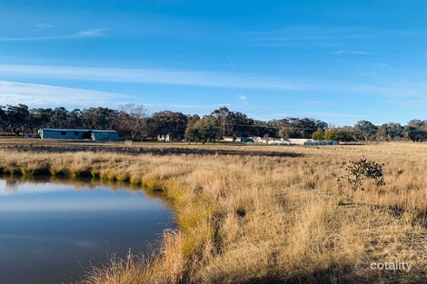 Property photo of 207 Hospital Flat Road Tingha NSW 2369