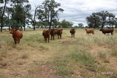 1837 Merton Rd, Yelarbon, QLD 4388