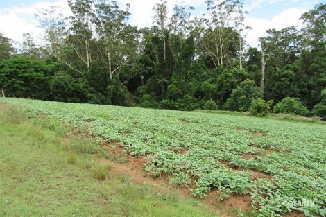 234 Old Palmwoods Rd, Palmwoods, QLD 4555