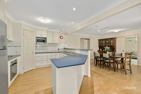 Property photo of 6 Bush Cherry Place Thornlands QLD 4164