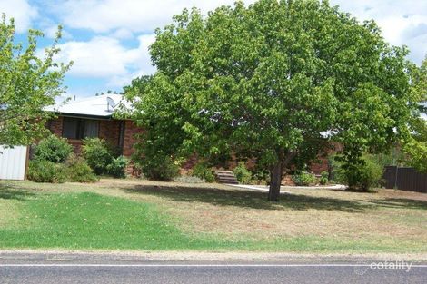 91 Nowland Ave, Quirindi, NSW 2343