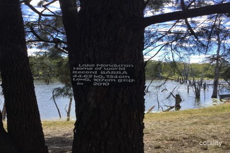 Property photo of 310 Rickards Road Kolonga QLD 4671