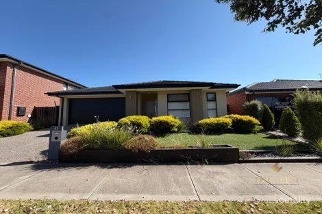 43 Stanhope Rd, Tarneit, VIC 3029