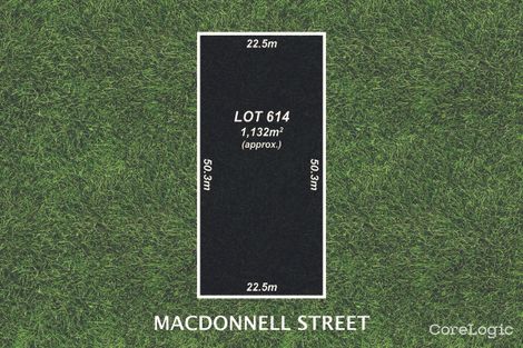 Property photo of 29 Macdonnell Street Tanunda SA 5352