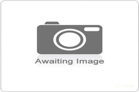 125 Punch St, Gundagai, NSW 2722