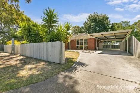 Property photo of 1 Trivalve Court Traralgon VIC 3844