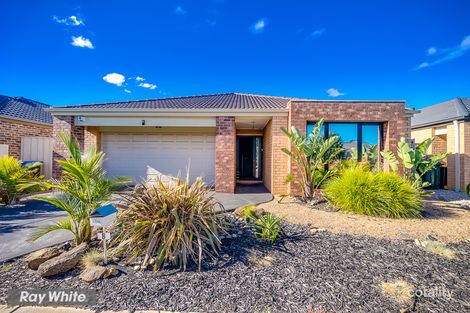 6 Brimstone Dr, Tarneit, VIC 3029