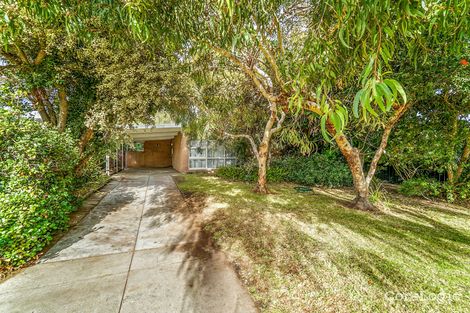 Property photo of 45 Turnbull Way Trigg WA 6029