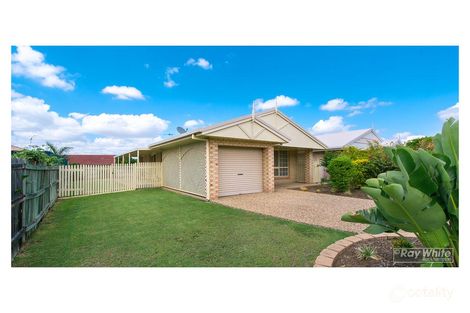 Property photo of 3 Protea Avenue Norman Gardens QLD 4701