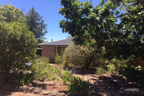 Property photo of 5 Mackellar Crescent Cook ACT 2614