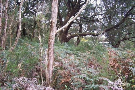 Property photo of 6 Macneil Court Walkerville VIC 3956