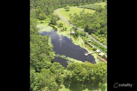 Property photo of 455 Mount Browne Road Upper Orara NSW 2450