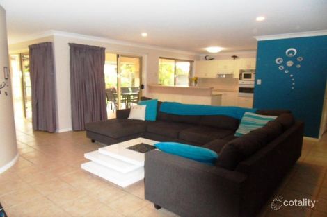 Property photo of 25 Mountain Ash Drive Mountain Creek QLD 4557