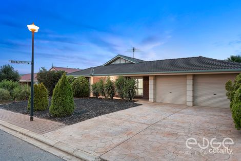Property photo of 41 Toorak Drive Blakeview SA 5114