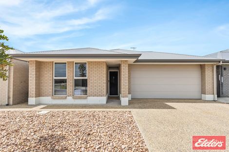 31 Reid Rd, Two Wells, SA 5501
