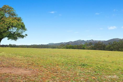 Property photo of 6 Blossom Close Diddillibah QLD 4559