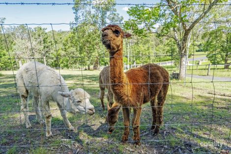 12 Hyde Rd, Whiteside, QLD 4503