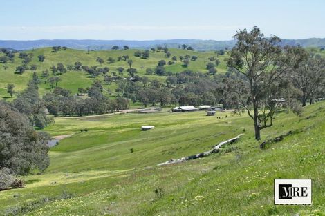 1 Old Tonga Rd, Mansfield, VIC 3722