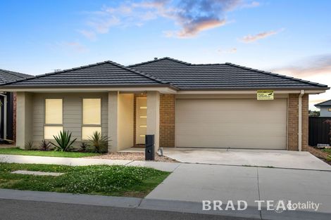 Property photo of 11 Nethercote Street Craigieburn VIC 3064