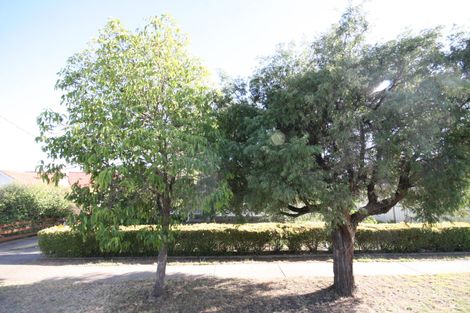 17 Seymour Tce, Ascot Park, SA 5043