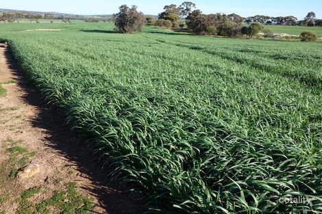 317 Noombling-Norrine Rd, Codjatotine, WA 6308