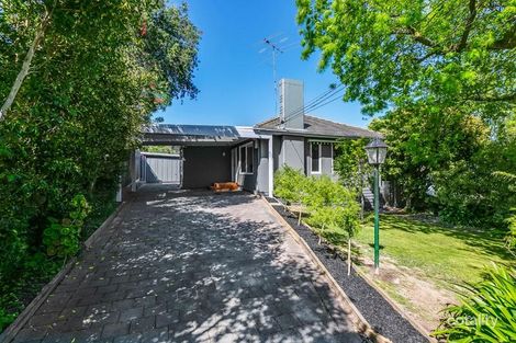 Property photo of 33 Binalong Avenue Chadstone VIC 3148