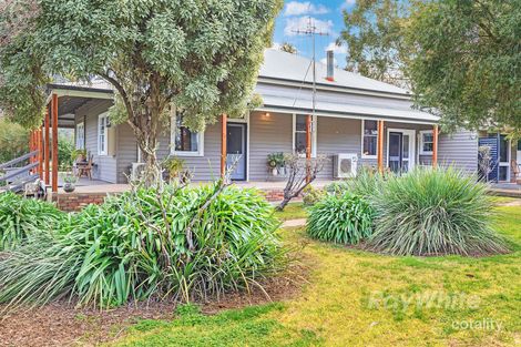 566 Pannoo Rd, Lockington, VIC 3563