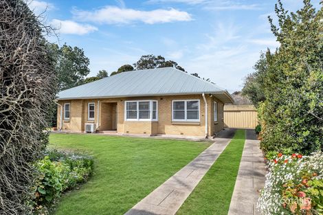 31 Jervois St, Hawthorn, SA 5062