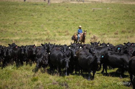 1006 Green Hills Rd, Thalgarrah, NSW 2350