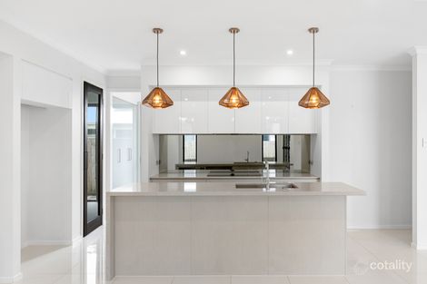 Property photo of 41 Petrel Crescent Mountain Creek QLD 4557