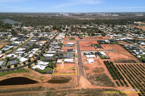 20 Woodside Dr, Gol Gol, NSW 2738