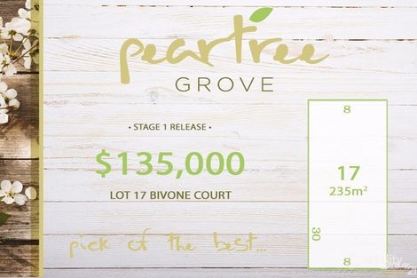 17 Bivone Ct, Salisbury Downs, SA 5108