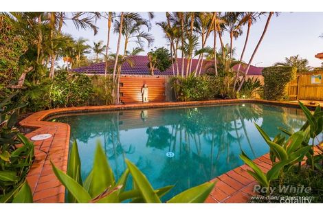 Property photo of 16 Lindeman Place Eight Mile Plains QLD 4113