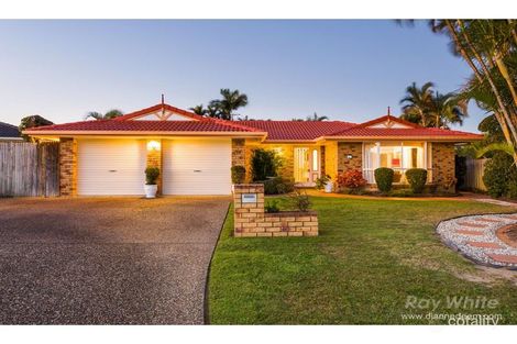 Property photo of 16 Lindeman Place Eight Mile Plains QLD 4113