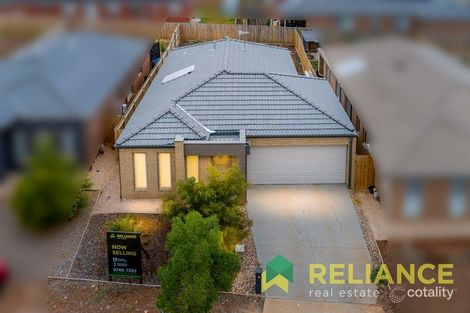 Property photo of 24 Gosse Crescent Brookfield VIC 3338