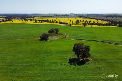 2276 Kojonup-Katanning Rd, Carrolup, WA 6317