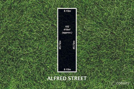 Property photo of 16 Alfred Street Pooraka SA 5095