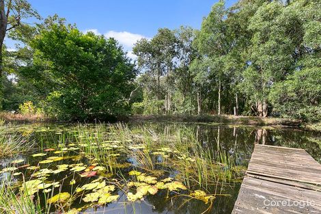Property photo of 23 Tronson Road Ringtail Creek QLD 4565