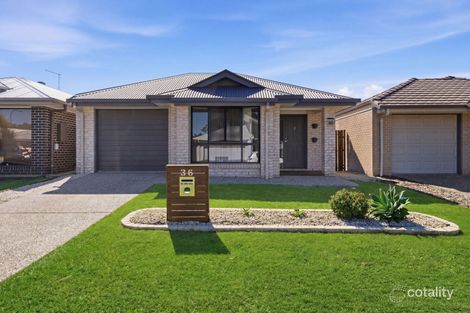 36 LEHMANN CCT, CABOOLTURE SOUTH, QLD 4510