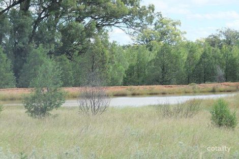 1513 Westport Rd, Jacks Creek, NSW 2390