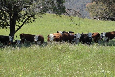 980 Lucyvale Rd, Lucyvale, VIC 3691