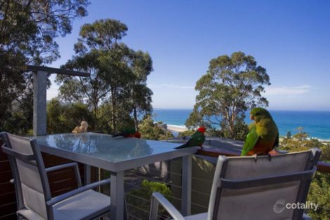 Property photo of 25A Toorak Terrace Lorne VIC 3232