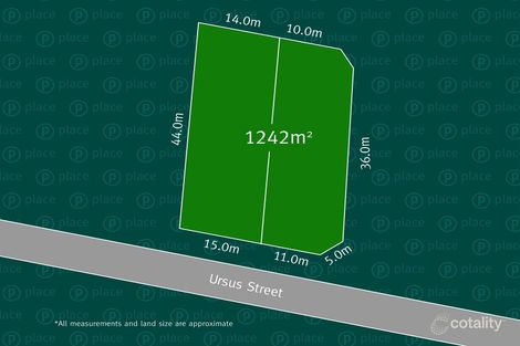 Property photo of 13 Ursus Street Seven Hills QLD 4170