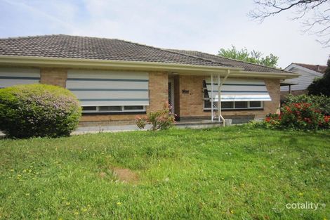 43 Ashbrook Ave, Payneham, SA 5070