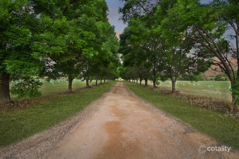 Property photo of 458 Chowilla Street Renmark West SA 5341