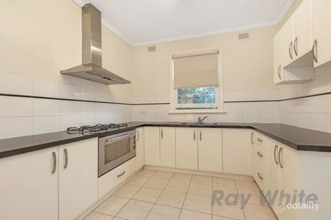 Property photo of 56 Angus Avenue Edwardstown SA 5039