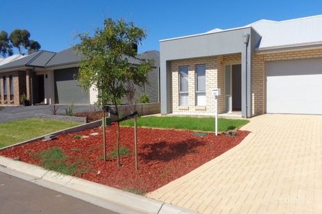 20 Darling St, Evanston South, SA 5116